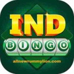 BINGO IND APK