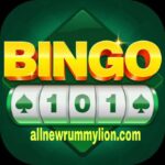 BINGO 101 APK